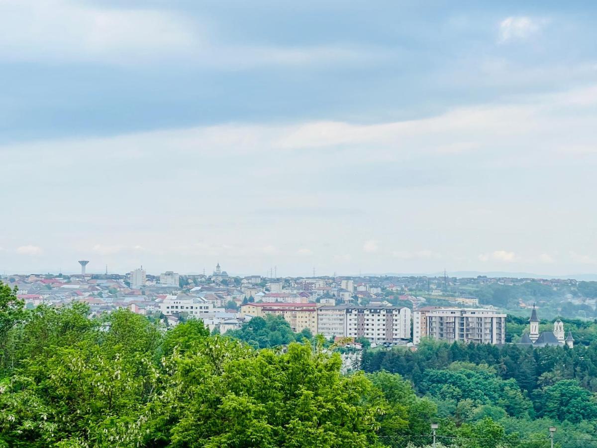 Appartement Altheda Living Zamca C4 à Suceava Extérieur photo